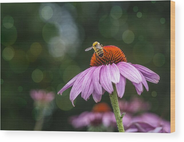 Textured Wood Print featuring the photograph Bee and Bokeh by Cathy Kovarik