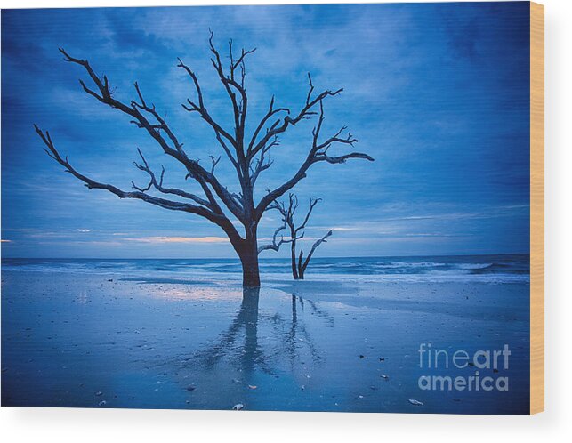 Charleston Wood Print featuring the photograph Before Dawn by Carrie Cranwill
