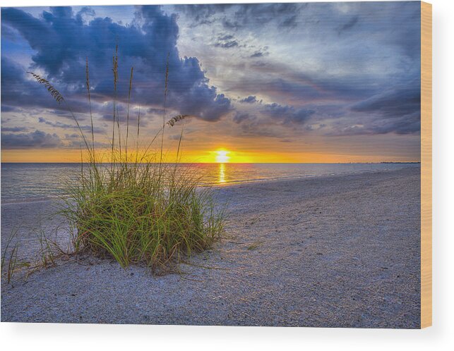 Sun Wood Print featuring the photograph Behind the Sea Grass by Sean Allen