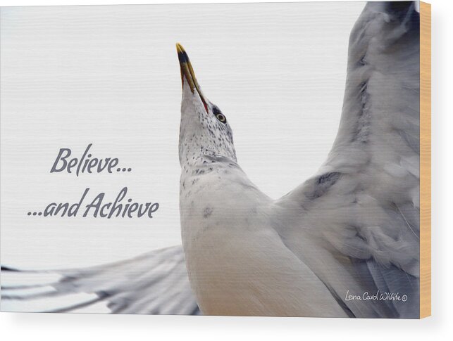 Nature Wood Print featuring the photograph Believe And You Can Achieve by Lena Wilhite