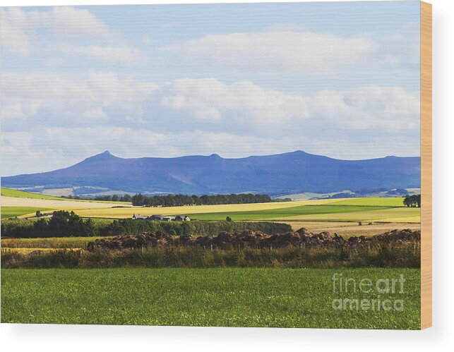 Field Wood Print featuring the photograph Bennachie by Diane Macdonald