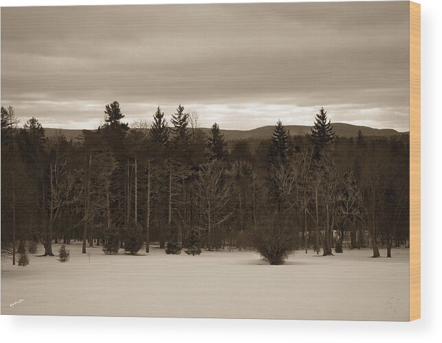 Berkshires Wood Print featuring the photograph Berkshires Winter 1 - Massachusetts by Madeline Ellis