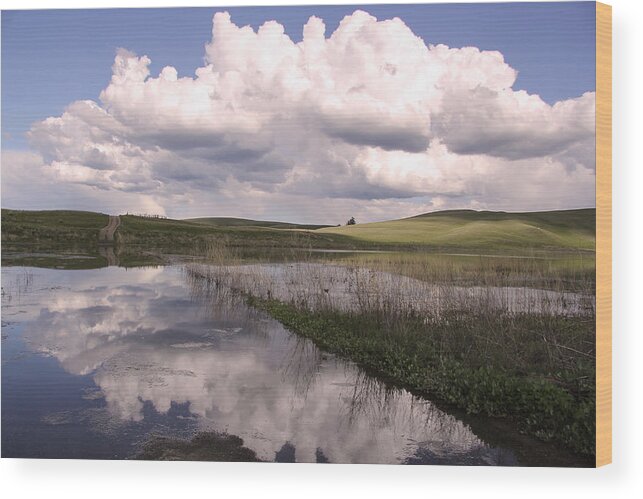 Landscape Wood Print featuring the photograph Between Storms by Kathy Bassett