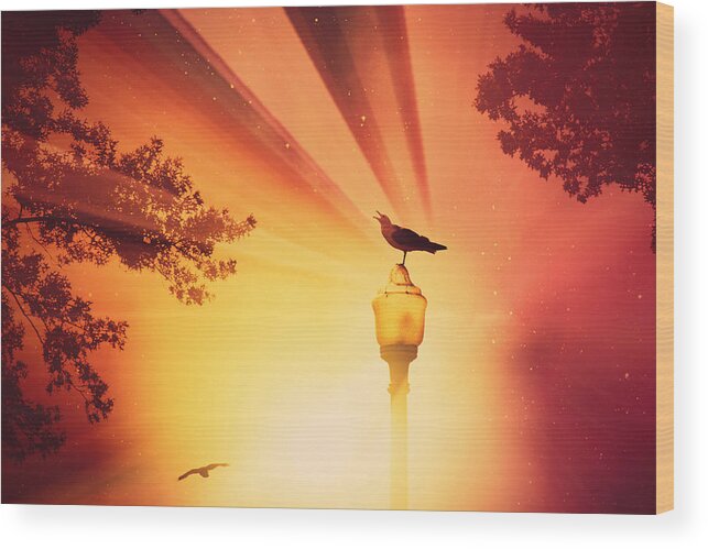 Birds Wood Print featuring the photograph Beyond The Beyond by Aurelio Zucco