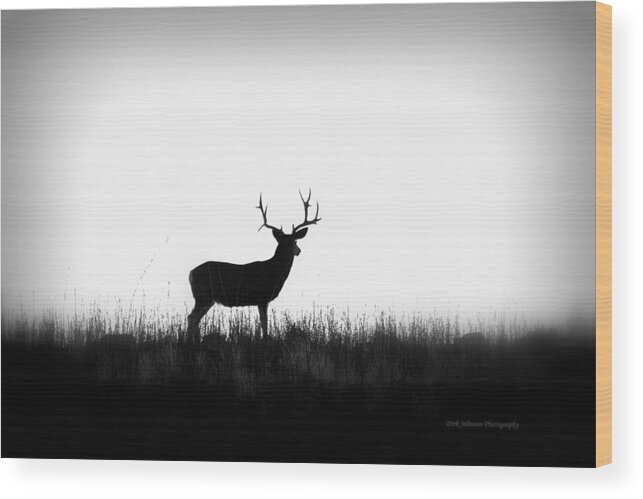 Mule Deer Wood Print featuring the photograph Big Buck On The Ridge by Dirk Johnson