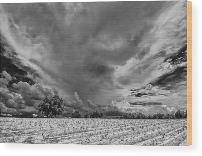 July Wood Print featuring the photograph Big Sky Summer NC by Jim Moore