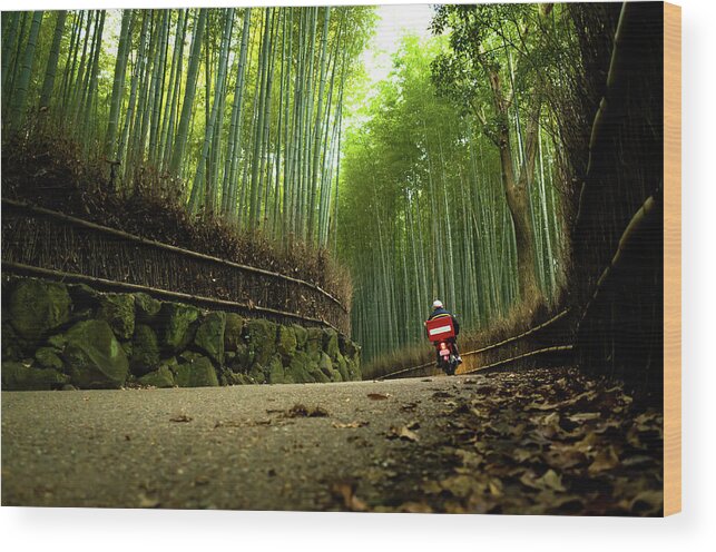 Crash Helmet Wood Print featuring the photograph Bike Running Through Bamboo Grove by Marser