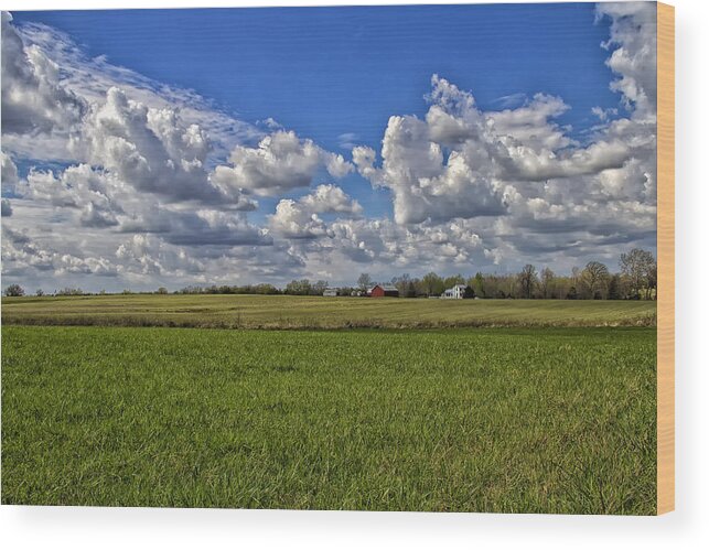 Field Wood Print featuring the photograph Billow Skies on Green by Bill and Linda Tiepelman