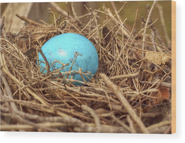 Easter Wood Print featuring the photograph Bird Nest Easter Egg Basket by Jason Politte