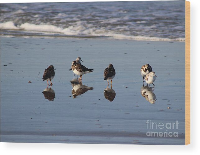 Bird Wood Print featuring the photograph Bird Reflections by Andre Turner