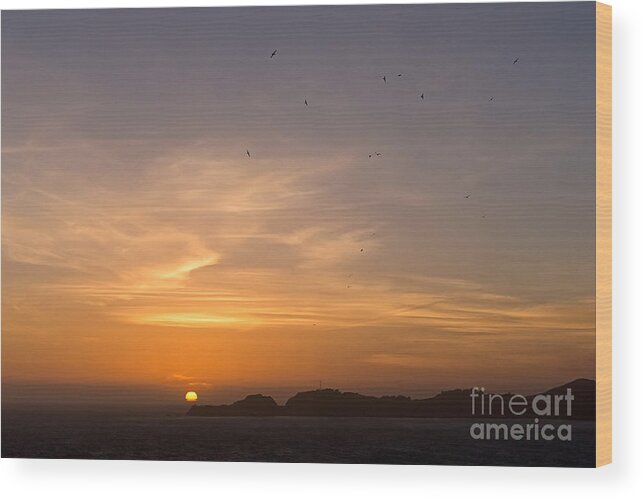 Backlight Wood Print featuring the photograph Birds at Sunset by Kate Brown