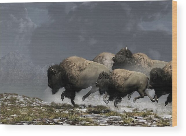 Bison Wood Print featuring the digital art Bison Stampede by Daniel Eskridge