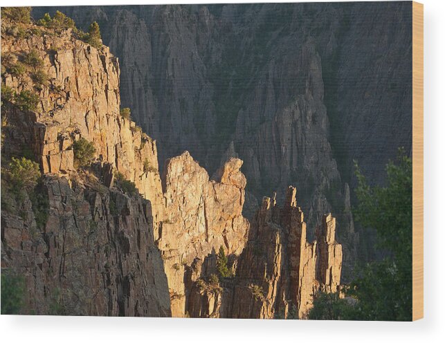 Rock Wood Print featuring the photograph Black Canyon Sitting Camel by Eric Rundle