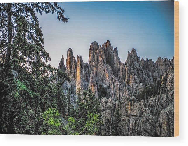 Mountain Wood Print featuring the photograph Black Hills Needles by Paul Freidlund