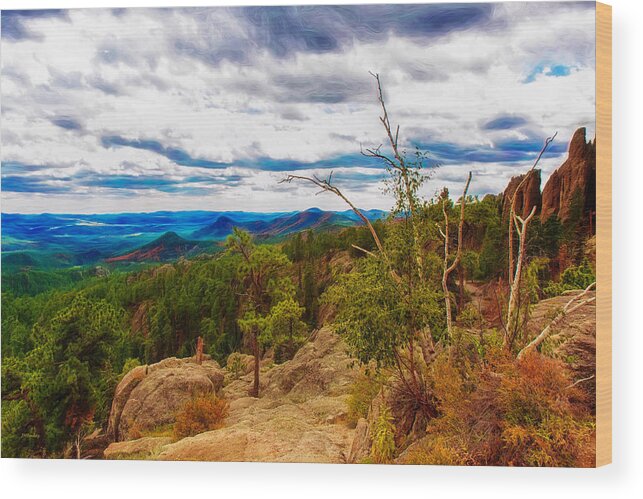 Sky Wood Print featuring the photograph Black Hills Vista by John M Bailey