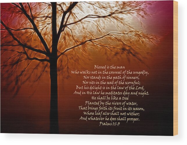 Blessed Wood Print featuring the photograph Blessed is the Man by Kathy Clark