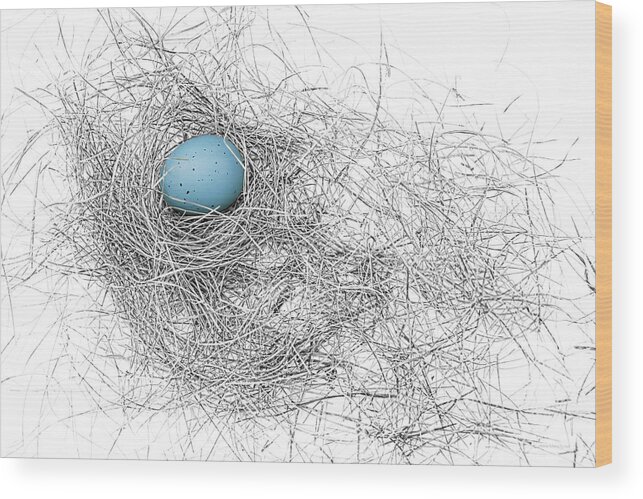 Bird Nest Wood Print featuring the photograph Blue Egg in Bird Nest Monochrome by Jennie Marie Schell