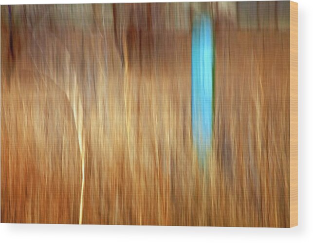 Outdoors Wood Print featuring the photograph Blue Fencepost by Theresa Tahara