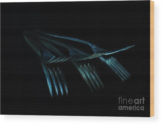 Forks Wood Print featuring the photograph Blue Forks by Randi Grace Nilsberg