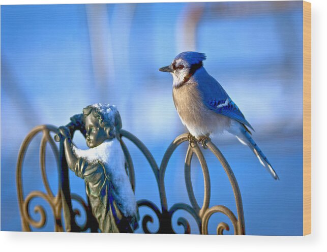 Blue Jay Wood Print featuring the photograph Blue Jay Childs Fence by Randall Branham