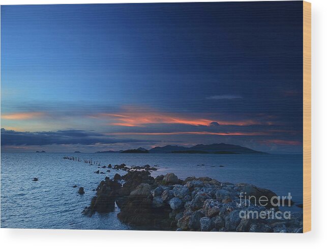 Michelle Meenawong Wood Print featuring the photograph Blue by Michelle Meenawong