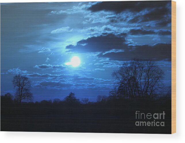 Blue Wood Print featuring the photograph Blue night light by Four Hands Art