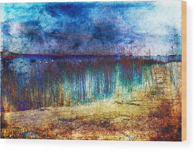 Blue Wood Print featuring the photograph Blue Shore by Randi Grace Nilsberg