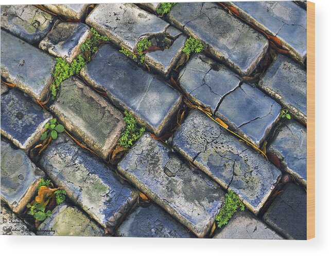 Stone Wood Print featuring the photograph Blue Stone by Hany J