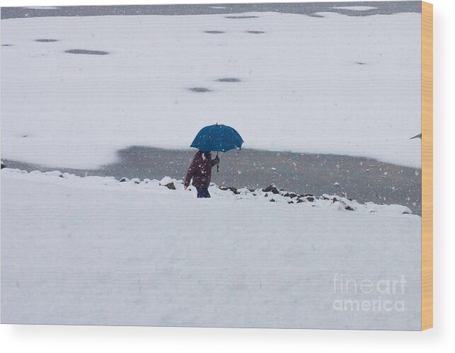 Gaithersburg Wood Print featuring the photograph Blue Umbrella in Snow by Thomas Marchessault