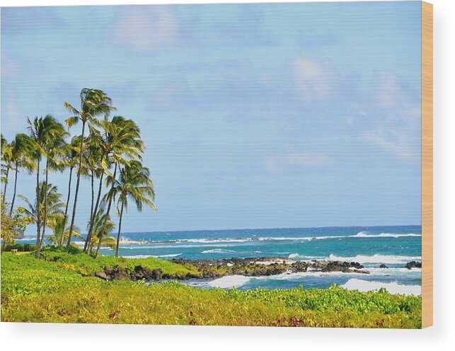 Landscape Wood Print featuring the photograph Blue Waters by Sue Morris