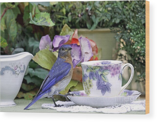 Billy Bluebird Photography Wood Print featuring the photograph Bluebird and Tea Cups by Luana K Perez