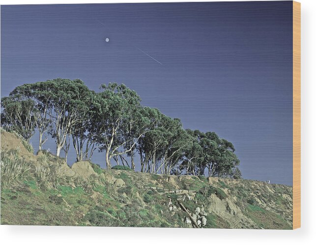 Bluff Wood Print featuring the photograph Bluff at La Selva by SC Heffner
