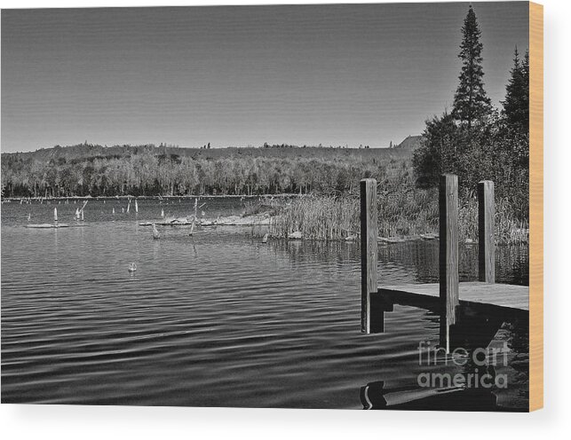 Black And White Photography Wood Print featuring the photograph Boat Dock Black and White by Gwen Gibson
