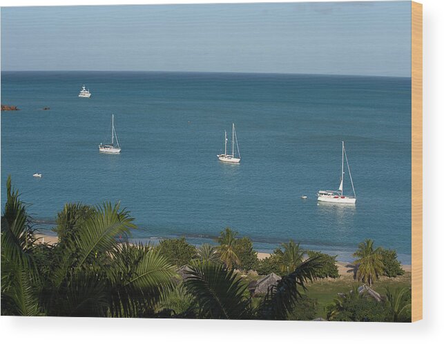 Atlantic Wood Print featuring the photograph Boats from Above by Kim French