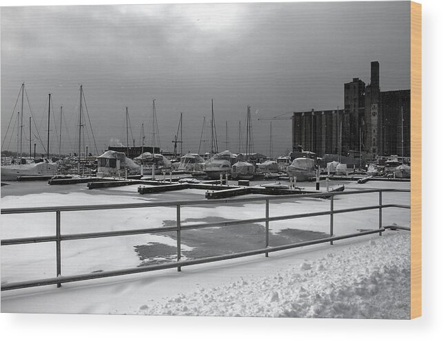 Toronto Canvas Prints Wood Print featuring the photograph Boats on Ice by Nicky Jameson