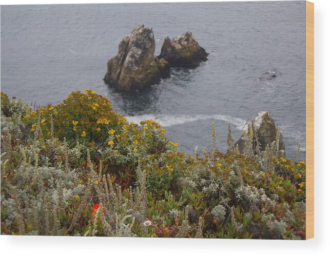 California Wood Print featuring the photograph Bodega Flowers by Ryan Moyer