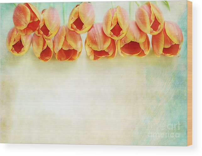 Tulip Wood Print featuring the photograph Border of Orange Tulips by Stephanie Frey