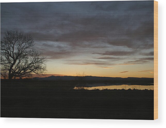  Wood Print featuring the photograph Bosque in Morning by James Gay