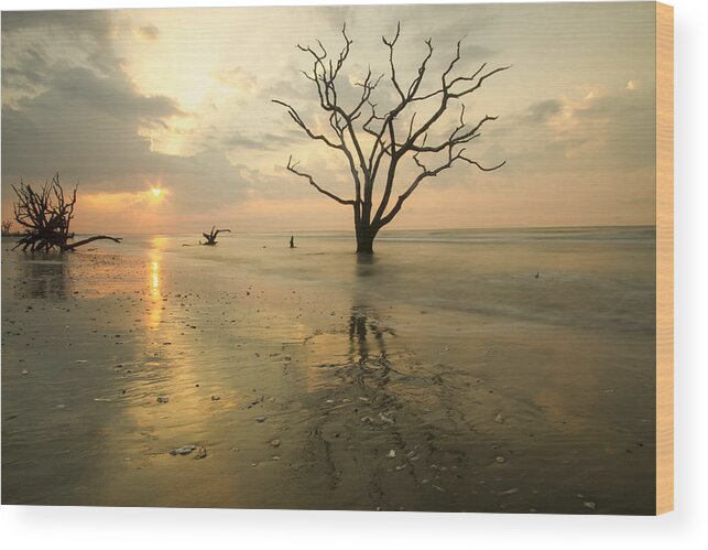 Dawn Wood Print featuring the photograph Botany Bay Beach by Doug McPherson