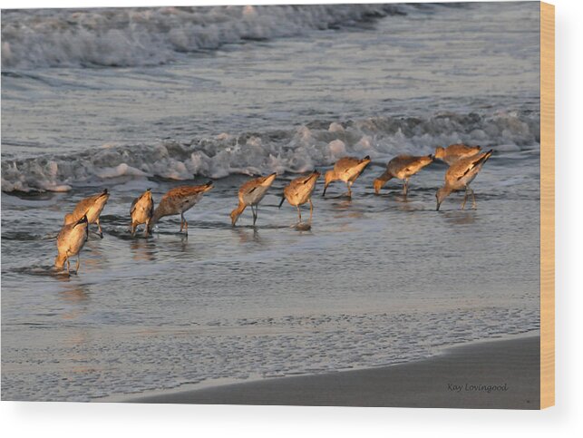 Beach Wood Print featuring the photograph Bottoms Up by Kay Lovingood