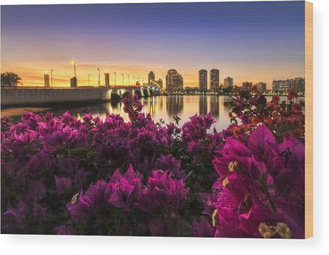 Clouds Wood Print featuring the photograph Bougainvillea on the West Palm Beach Waterway by Debra and Dave Vanderlaan