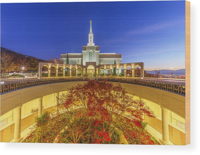 Lds Wood Print featuring the photograph Bountiful by Dustin LeFevre