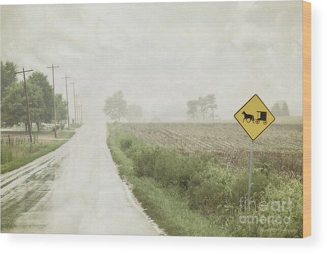 Rural Wood Print featuring the photograph Brake for Buggies by Diane Enright