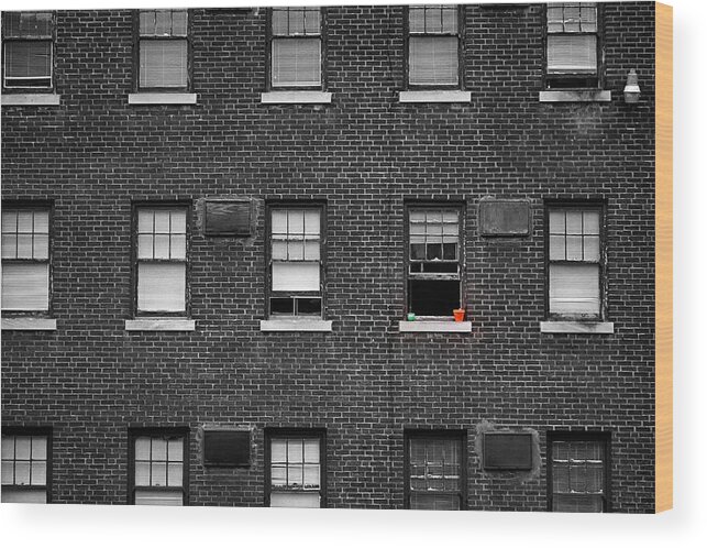 Architecture Wood Print featuring the photograph Brick Wall and Windows by Jim Shackett