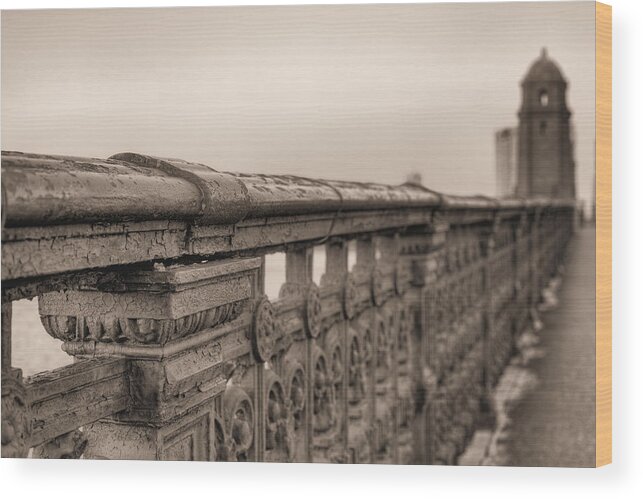 Boston Wood Print featuring the photograph Bridging the Charles BW by JC Findley