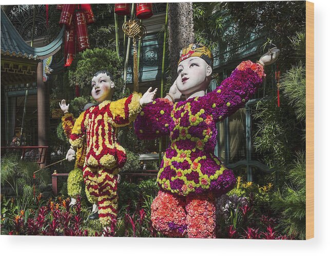 Chinese Wood Print featuring the photograph Bright Boys by Glenn DiPaola