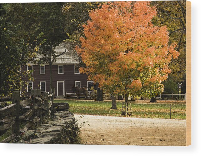 Fall Colors Wood Print featuring the photograph Bright orange autumn by Jeff Folger