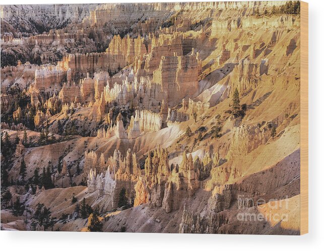 Color Landscape Photography Wood Print featuring the photograph Bryce Canyon 3 by David Waldrop