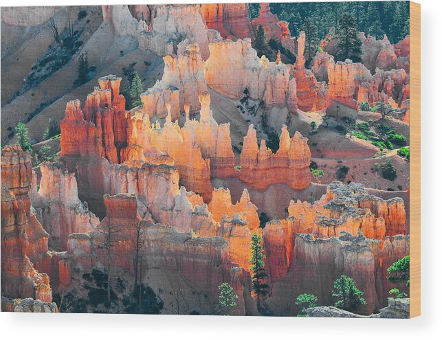 Red Wood Print featuring the photograph Bryce Canyon at Sunrise by Ginger Wakem