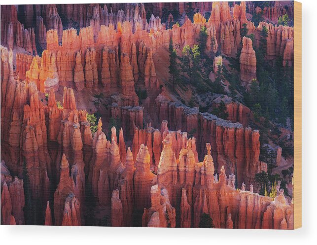 Bryce Wood Print featuring the photograph Bryce Canyon At Sunset by ??? / Austin